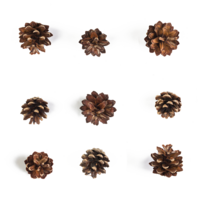 grankogler opstillets som et gitter