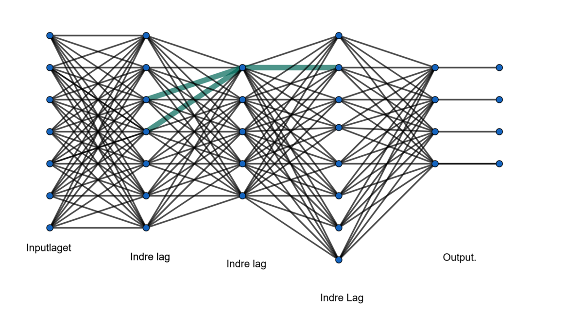 Illustration over neuralt netværk, hvor punkterne er opdelt i kategorierne inputlag, idnre lag, outputlag. Her er et punkt i det miderste indre lag og dets 2 input variable og enkelte output er highlightet.
